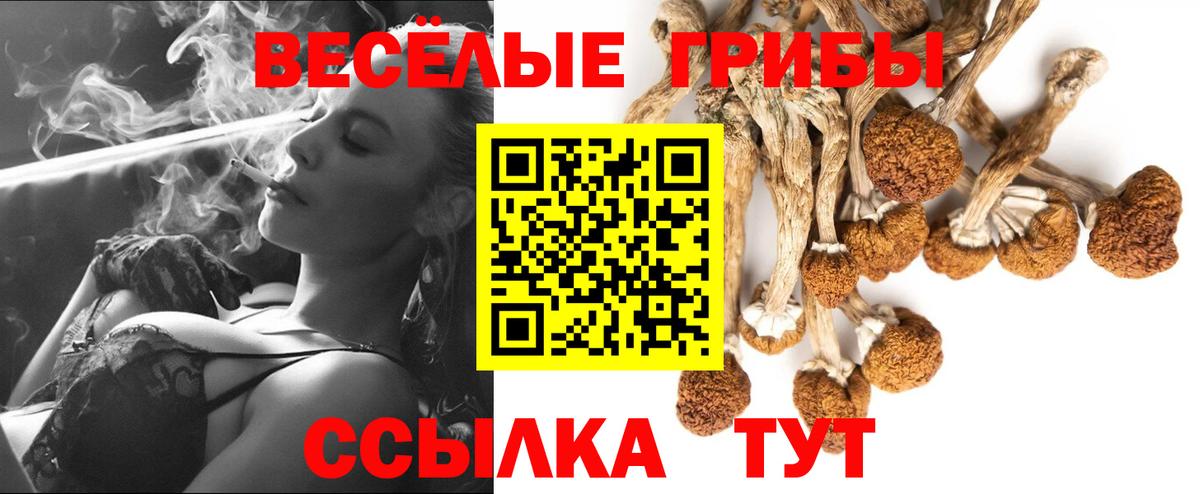 Галлюциногенные грибы мицелий Минусинск