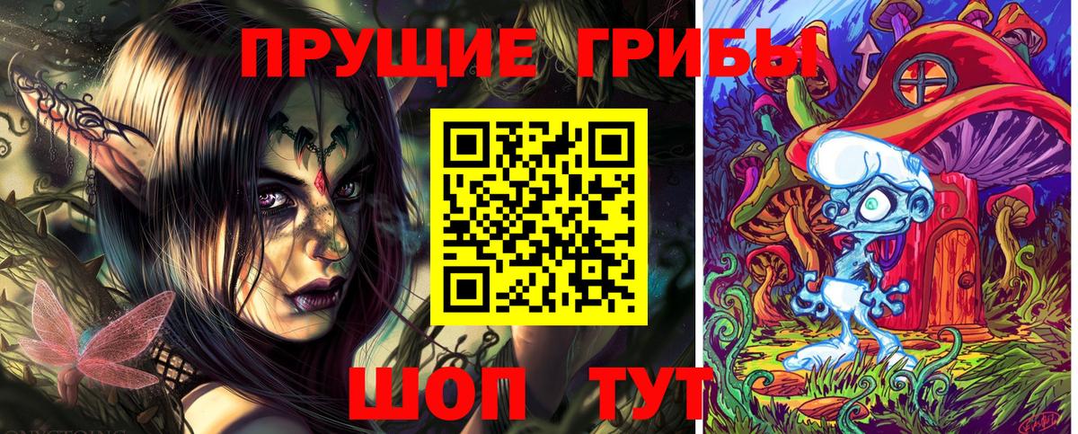 Псилоцибиновые грибы Psilocybine cubensis  Вход с VPN  Минусинск 